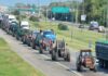 El análisis del sector agropecuario tras el “tractorazo”