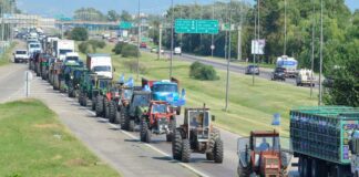 El análisis del sector agropecuario tras el “tractorazo”