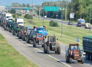 El análisis del sector agropecuario tras el “tractorazo”