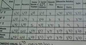 Adrián Carrizo: “De ninguna manera Río Negro va a eliminar el sistema de evaluación”