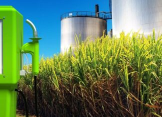 Tucumán: Cañeros advierten que el faltante de gasoil podría complicar la producción de bioetanol