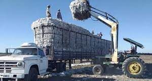 El relato de un productor del Chaco: “No podemos levantar la producción”