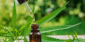 Claudio Grecco: “Toda sustancia es un consumo problemático”