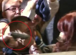 El análisis de dos ex custodios presidenciales, tras el ataque a CFK: “En Seguridad no te podés relajar”
