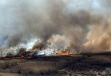 Alberto Ricci: “Es el incendio de todo el territorio entrerriano lo que nos está afectando”