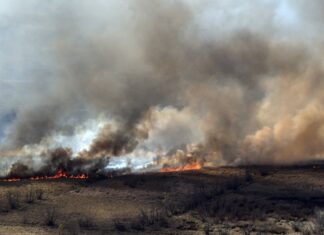 El testimonio de especialistas en medio ambiente: “Estamos hartos del ecocidio”