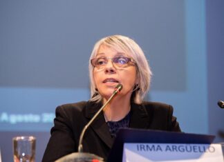 Irma Argüello: “Lo que ha sucedido con el gasoducto Néstor Kirchner ha sido un culebrón de idas y vueltas”