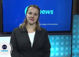 Emilce Terre y las malas condiciones de los lotes de Trigo en Rosario: “Si no llueve en octubre la caída va a ser dramática en kilos y en dólares”
