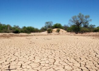 Matías Campos: “La sequia es muy amplia, calculamos perdidas por 2.400 millones de dólares”