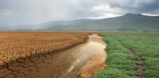 José Luis Stella: “La sequía extrema y la ola de calor son un llamado de atención”
