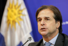 Luis Lacalle Pou cruzó a Alberto Fernández: “No hay mucha voluntad de avanzar en el Mercosur”