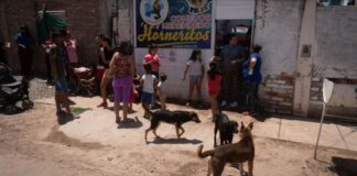 Gabriela Carbone: “Hoy las personas que tienen trabajo son las que vienen a buscar comida”