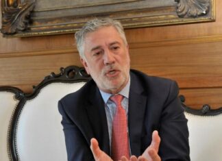 Luis Tonelli: “El fenómeno Milei es el hijo del 2001, del que se vayan todos”