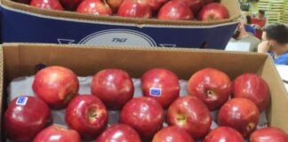 Sebastián Hernández, sobre el precio de la manzana: “Los valores que pagan se multiplica cuando llegan a la venta”