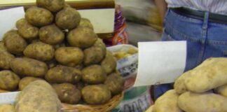 Mario Raiteri: “Hay una visión de caja sobre el sector agroalimentario en el país”