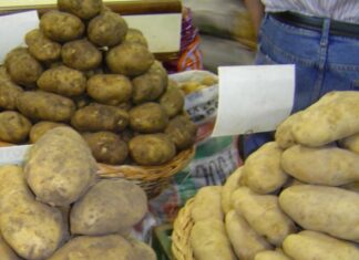 Mario Raiteri: “Hay una visión de caja sobre el sector agroalimentario en el país”