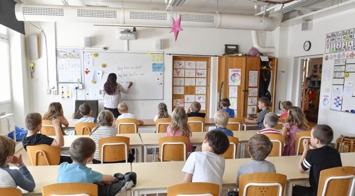 El relato de una maestra argentina en Suecia: “El sistema de voucher funciona y es muy bueno”