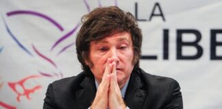 José Gabriel Palma, uno de los firmantes de la carta de The Guardian: “Por grande que sean los problemas, la locura nunca ha sido la solución”