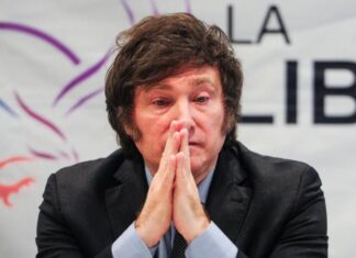 José Gabriel Palma, uno de los firmantes de la carta de The Guardian: “Por grande que sean los problemas, la locura nunca ha sido la solución”