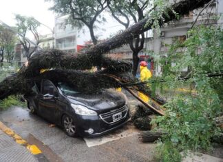 Alpio Costa, sobre el temporal del fin de semana: “Muy probablemente no fue un tornado”