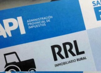Agustín Arechavala, productor ganadero que demandó al Gobierno bonaerense por el impuesto rural inmobiliario: “Es un aumento encubierto”