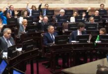 Fracinsco Minini: “Los senadores parecen que no son argentinos”