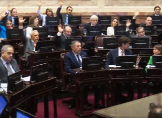 Fracinsco Minini: “Los senadores parecen que no son argentinos”