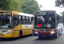 Raúl Jorge, Intendente de San Salvador de Jujuy: “El boleto de colectivo debe empezar a valer $790”