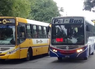 Raúl Jorge, Intendente de San Salvador de Jujuy: “El boleto de colectivo debe empezar a valer $790”