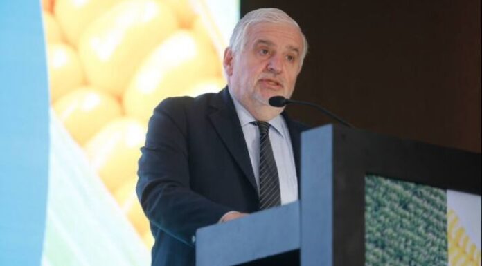 Fernando Villela rompió el silencio tras ser echado por Javier Milei: “Me gustaría saber cuáles son las metas que no cumplimos”