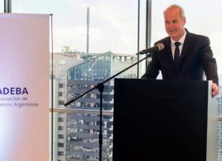Javier Bolzico: “El Gobierno tomó la decisión de que el Tesoro se haga cargo de las deudas y no el BCRA”