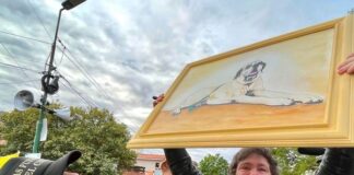 Diputados comenzó a debatir la “Ley Conan”