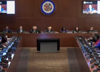 Elecciones en Venezuela: la OEA rechazó un proyecto de resolución que pedía al CNE publicar las actas electorales
