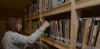 Educación: uno de cada dos chicos no entiende lo que lee