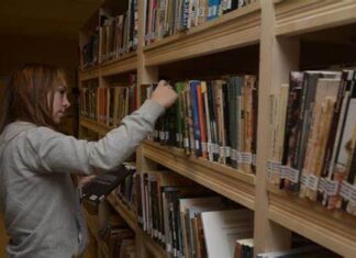 Educación: uno de cada dos chicos no entiende lo que lee
