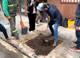 Eduardo Feinmann plantó un árbol en vivo: “Esto no estaba en el contrato”