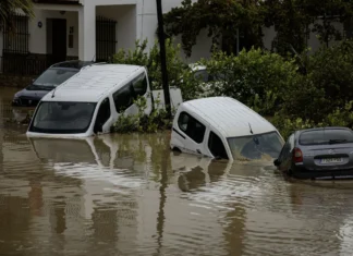 Valencia: la fábrica de Rapanui sufrió daños por el temporal DANA