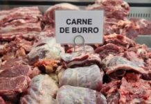 Julio Cittadini, el productor patagónico que impulsa la venta de carne de burro: “No está prohibido su consumo”