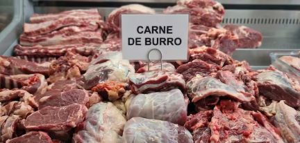 Julio Cittadini, el productor patagónico que impulsa la venta de carne de burro: “No está prohibido su consumo”