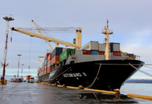 Fernando Morales, perito naval: “Dejas en manos extranjeras la logística y estrategia”