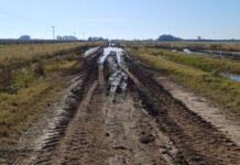 El reclamo de productores de Colón por el estado de los caminos rurales: “La situación es de abandono y dejadez”