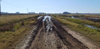 El reclamo de productores de Colón por el estado de los caminos rurales: “La situación es de abandono y dejadez”