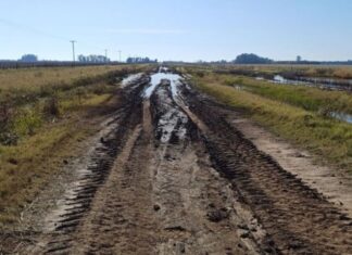 El reclamo de productores de Colón por el estado de los caminos rurales: “La situación es de abandono y dejadez”