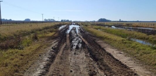 El reclamo de productores de Colón por el estado de los caminos rurales: “La situación es de abandono y dejadez”